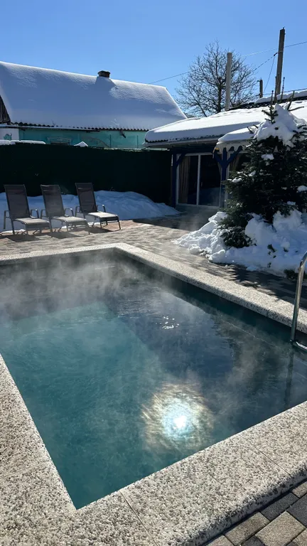 Дом из сруба с баней и бассейном