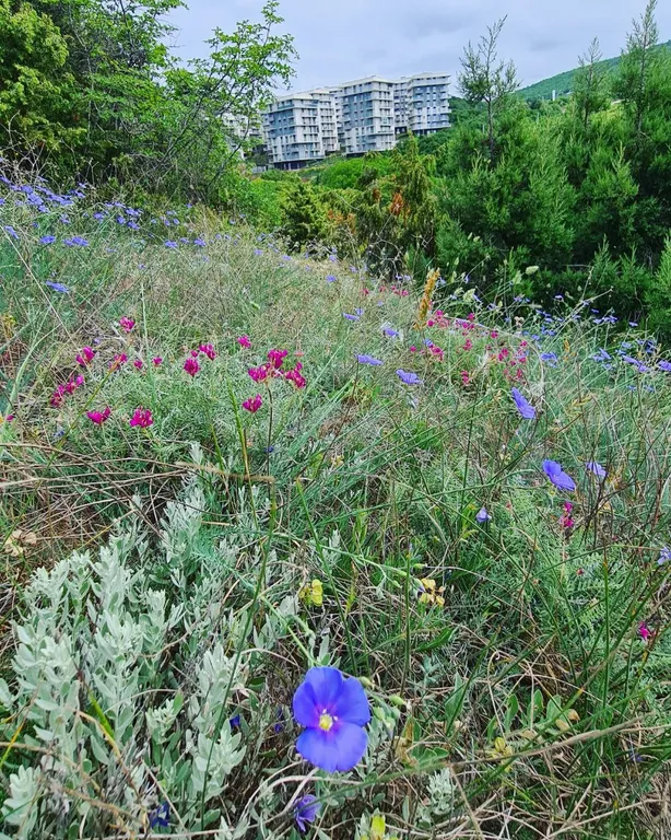 Квартира Уютная евро однушка с видом на бассейн — Варваровка