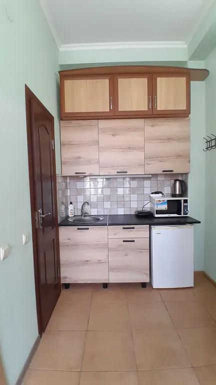 Квартира Комортабельные однокомнатные апартаменты "Олива" — Севастополь