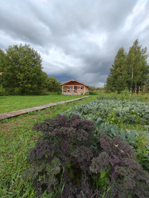 Дом в сердце русской деревни