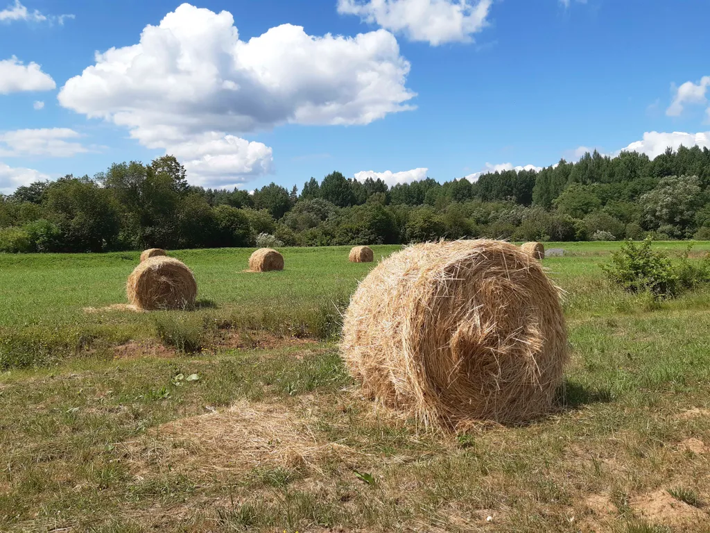 Дом в деревне