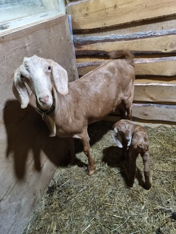 Усадьба в Соколова
