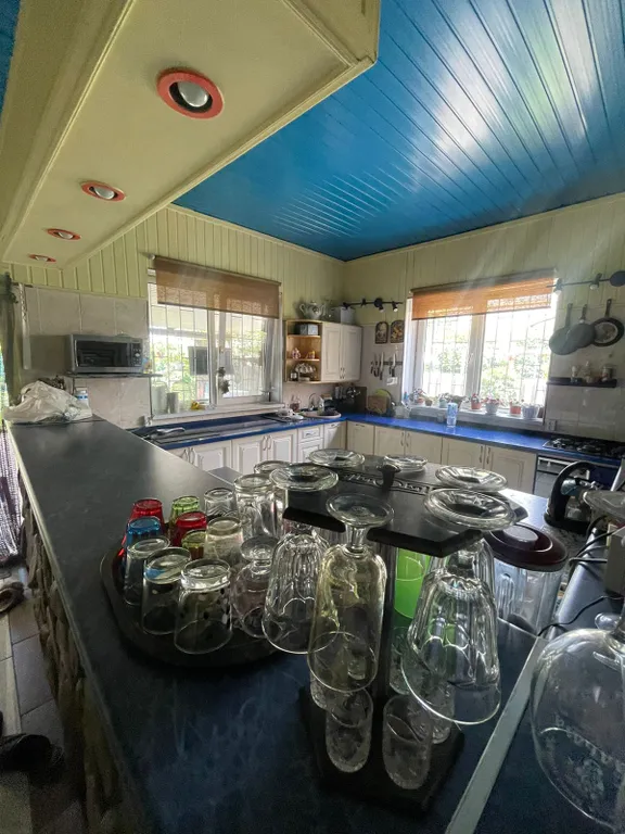 В гостях у Димы