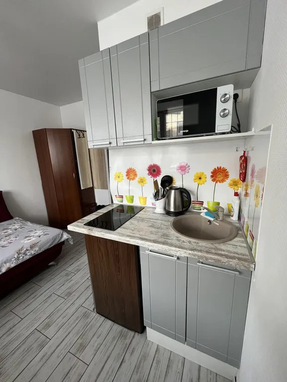 Студия рядом с Краевой больницей на Ляпидевского