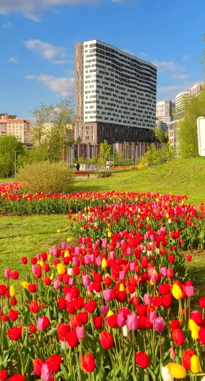 Стильный панорамный апартамент