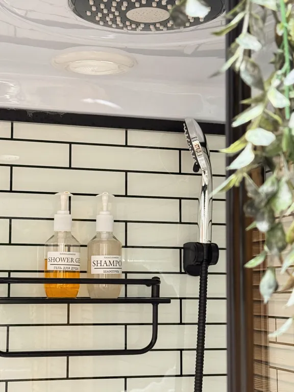 Белый дом и сосны