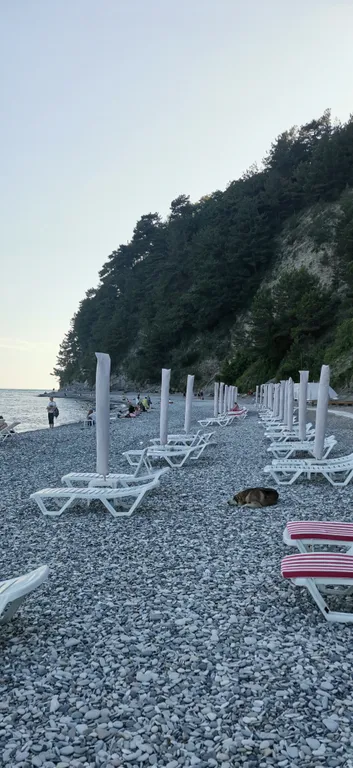 Уютная квартира недалеко от моря