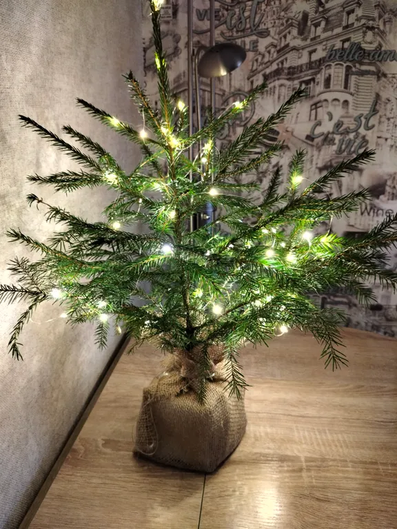 Квартира Уютная квартира в центре города — Ярославль