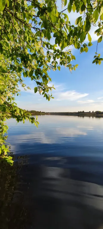 2 уютных дома для отдыха