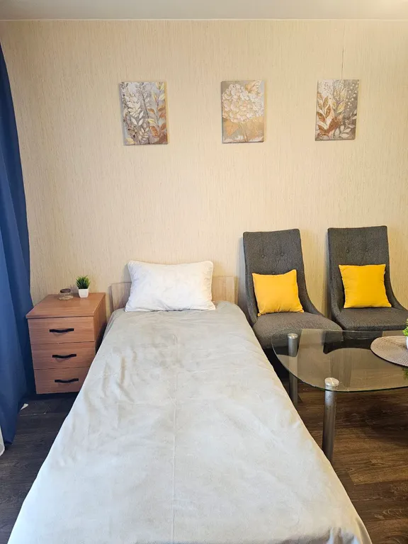 Уютная однокомнатная квартира в центре города