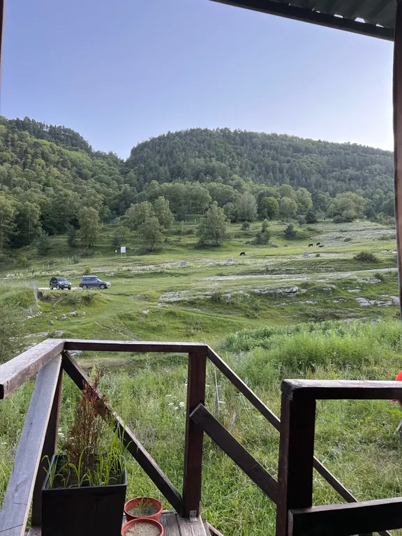 Домик в лесу