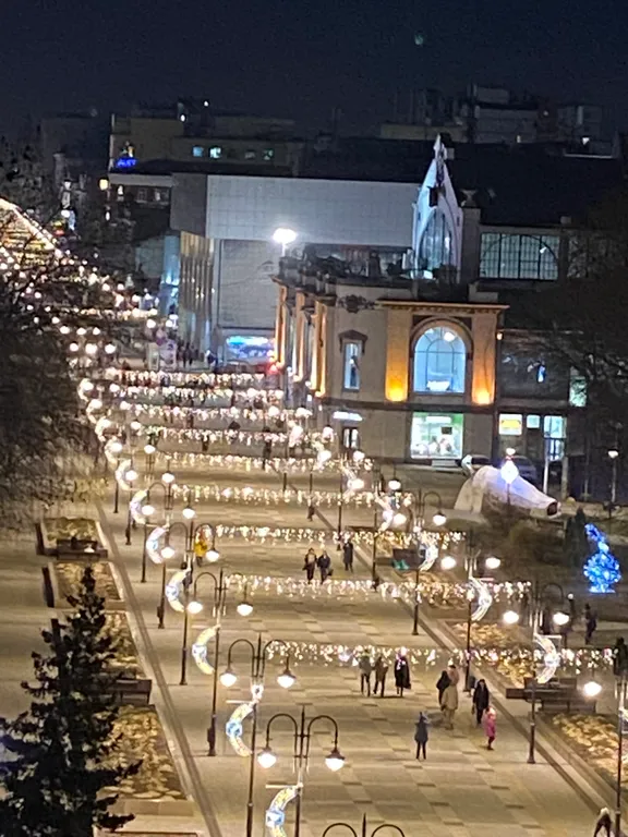 Видовая студия на проспекте