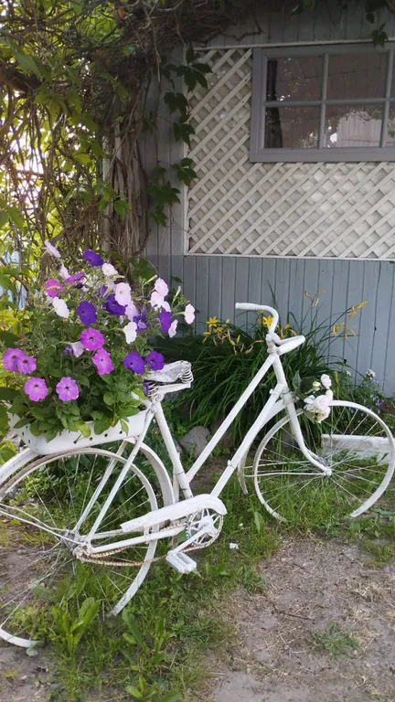 Коттедж Домик с баней у Гатчинского дворца и парка — Гатчина