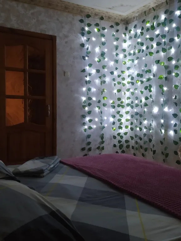 Уютная двухкомнатная квартира около Барбошиной поляны