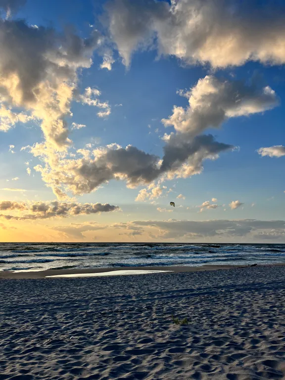 Уютный домик в сосновом бору на берегу моря