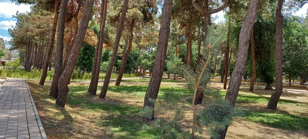 Квартира Апартаменты с отдельной лаунж-зоной и видом на море — Анапа