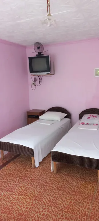 Коттедж Гостевой дом Бамбук — Гагра