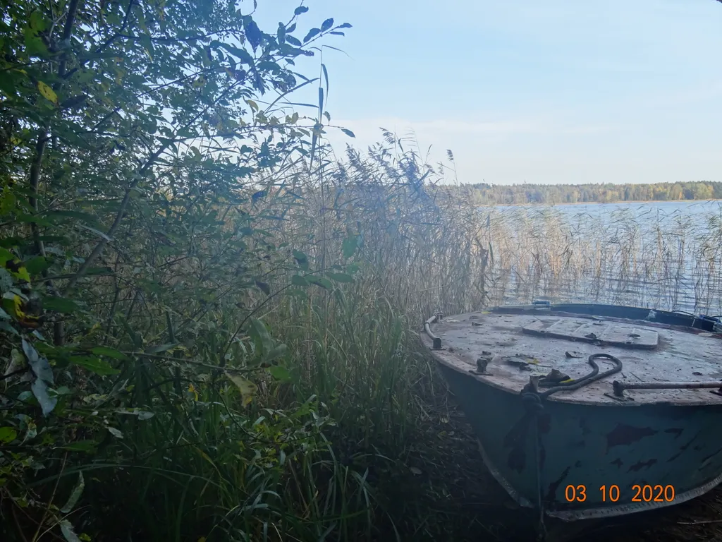 Хижина в лесу на берегу озера без соседей