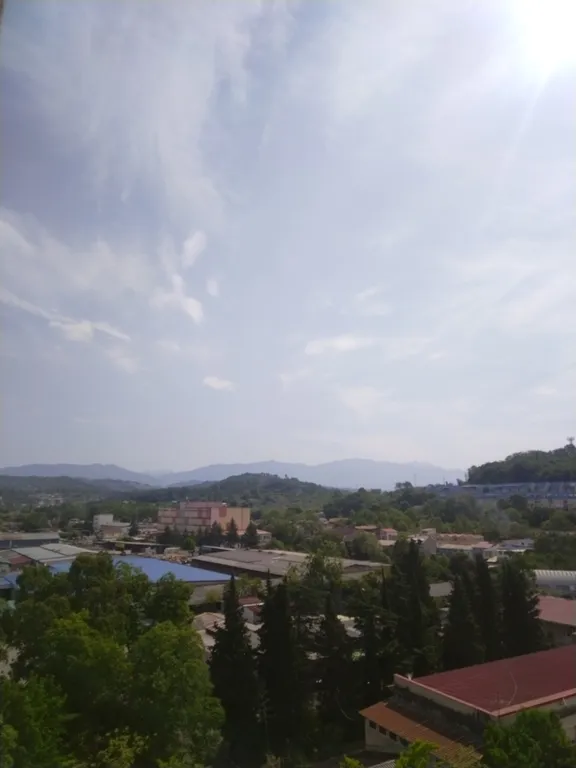 Квартира 1-комнатная Квартира — Адлер