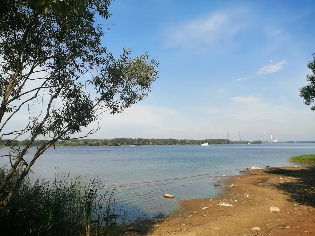 Евродвушка чёрная жемчужина