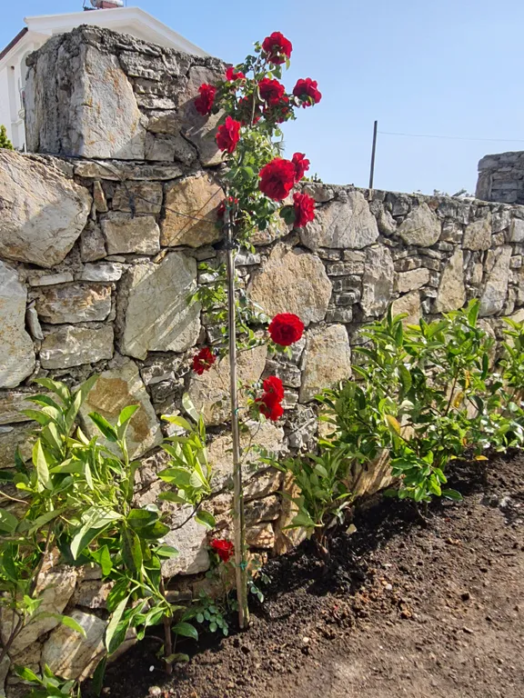 Вилла в 3-х минутах от пляжа Чалыш