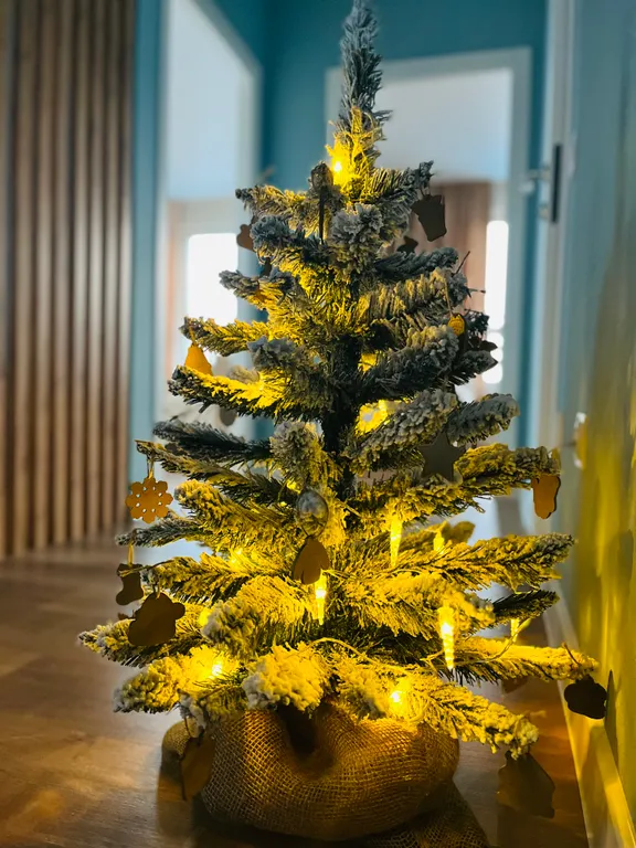 Видовые апартаменты Onego lakе