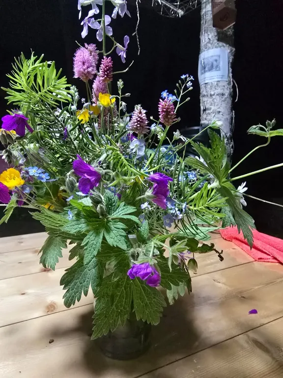 Коттедж Коттедж Лес хрустальной песни — Архыз