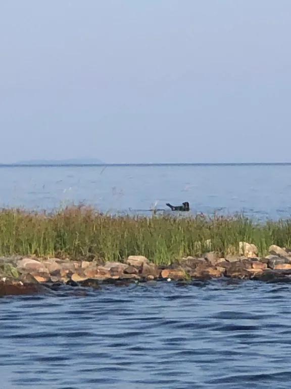 Дом в тишине на Ладоге