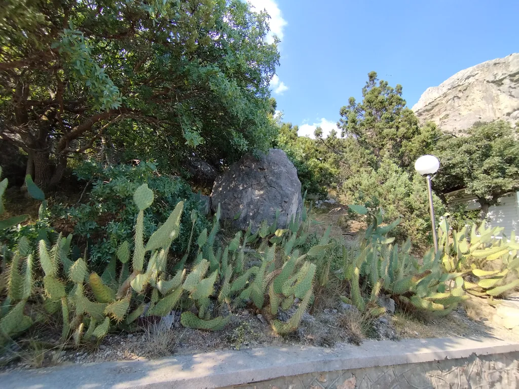 Квартира в бухте Ласпи у моря