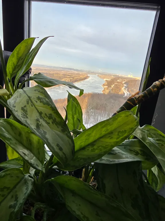 Квартира с шикарным видом на реку и лес