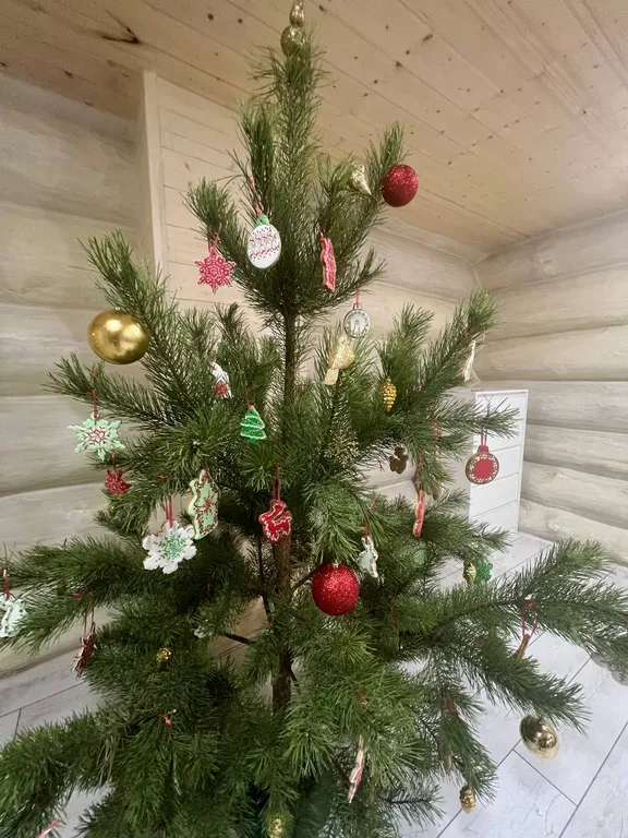 Уютный дом недалеко от города