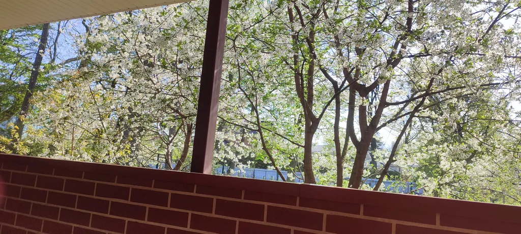 Весь первый уютный этаж с видом на природу