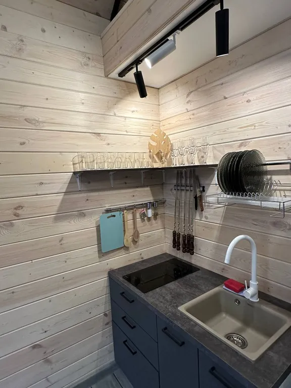 Уютный дом с купелью и бассейном  ( "Барн малый ")