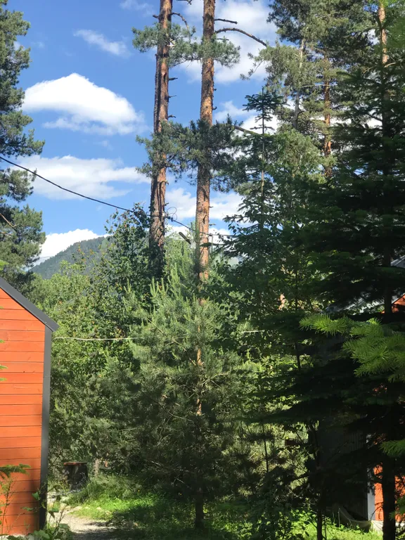 Коттедж Гостевой дом с видом на горы — Архыз