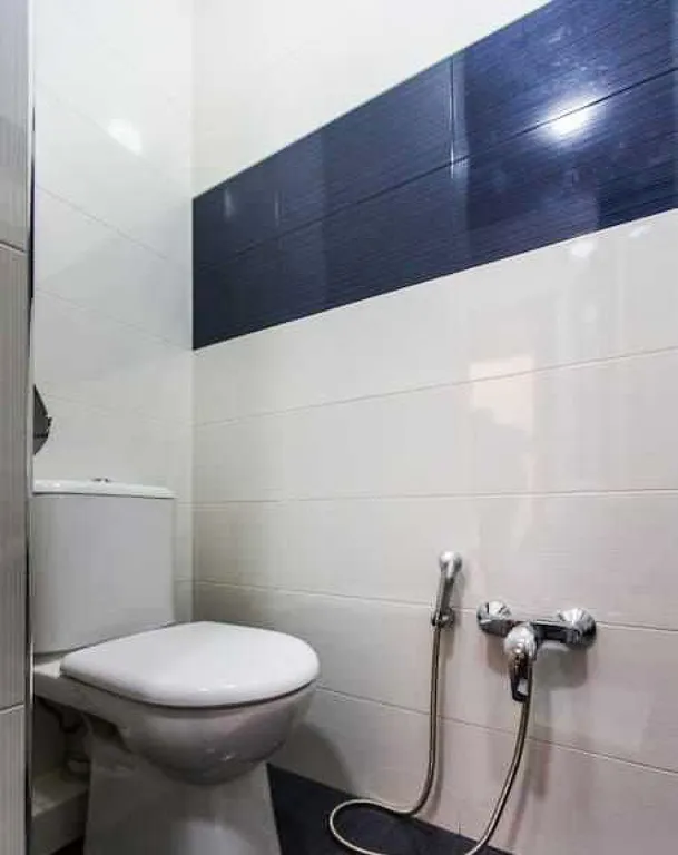 Двукомнатная квартира-люкс