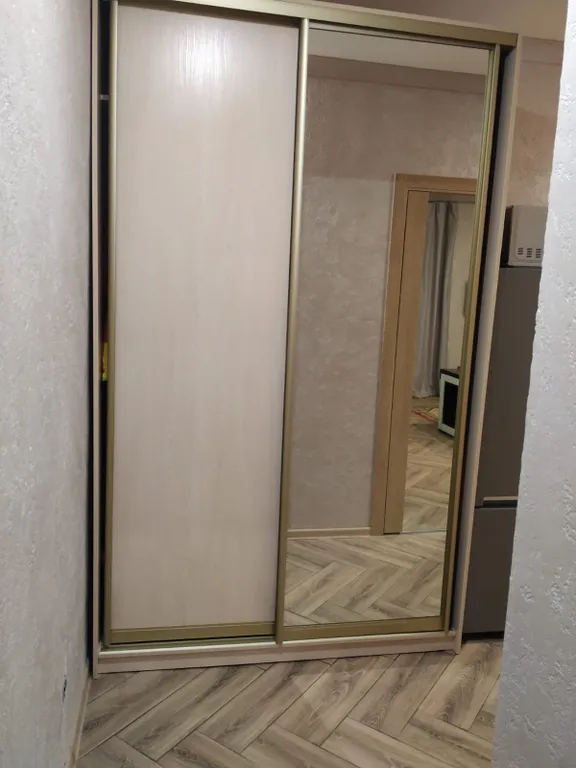 Квартира 1-комнатная Квартира — Пушкин