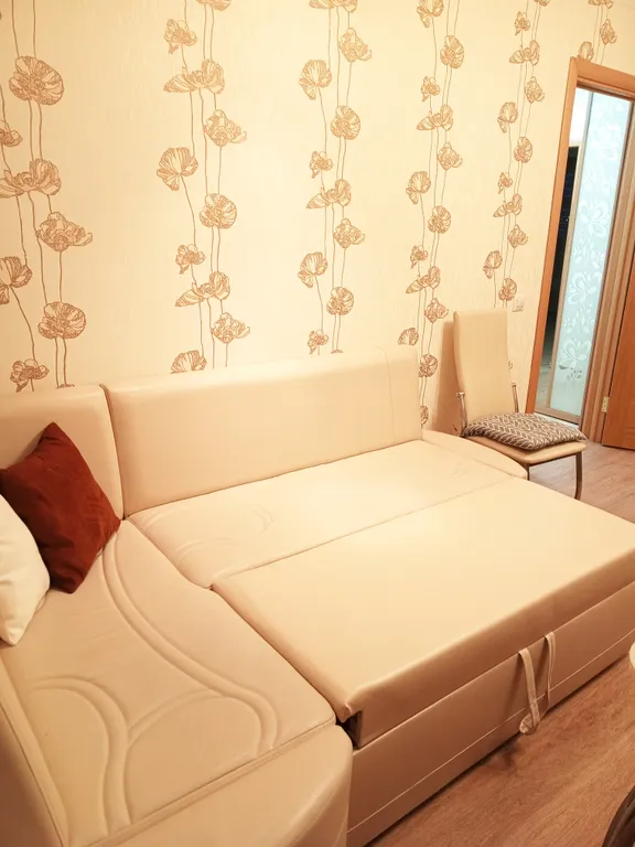 Квартира Просторная квартира — Тюмень