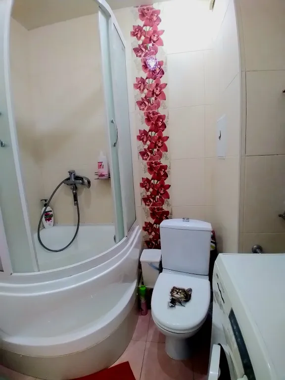 Уютная, теплая квартира