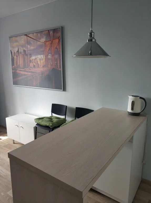 Замечательная квартира у Невы