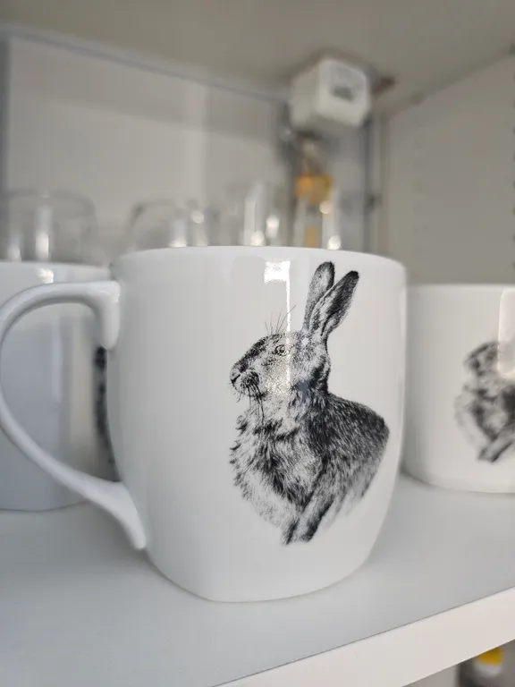 Студия с видом на Псковский Кром