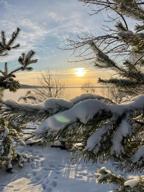 Дом с баней на берегу реки Волга с большой территорией