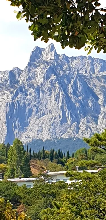 Квартира Львиный Домик