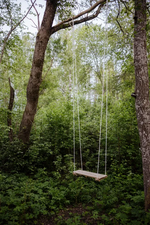 Коттедж Панорамный всесезонный купол с видом в лес — Сиверский