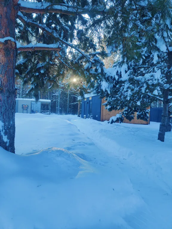 Домик с баней в лесу