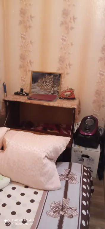 Уютная квартира рядом с гостиницей "Омск" и цирком