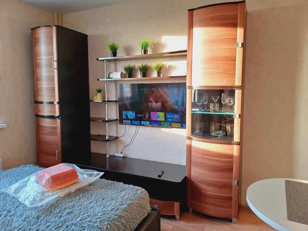 Уютная студия на площади Лядова