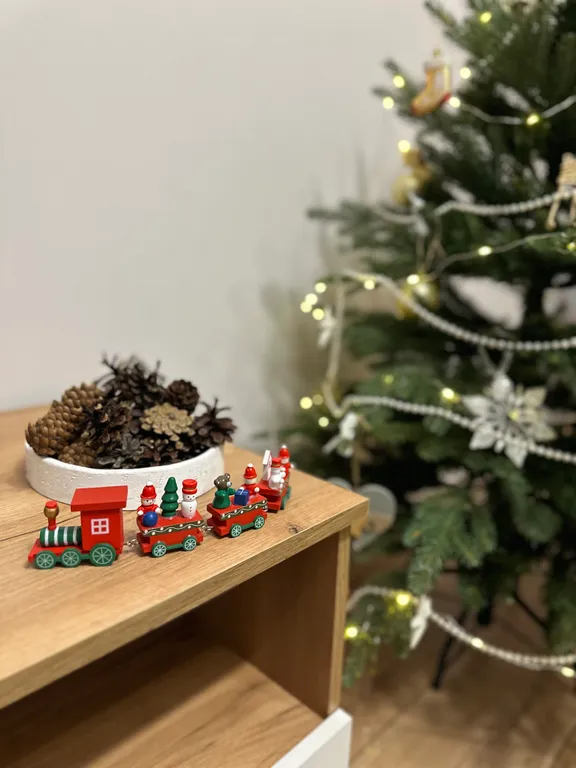 Прекрасный апартамент на берегу Онежского озера