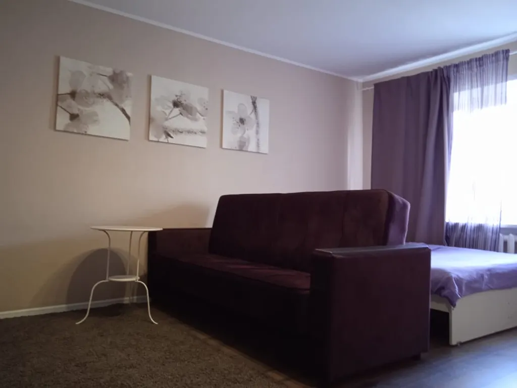 Квартира Симпатичная однушка в центре — аренда посуточно в Барнаул