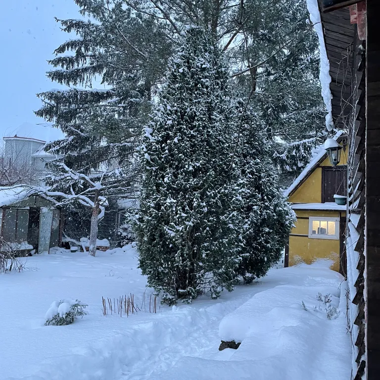 Коттедж Дом на Финском Заливе — Лебяжье