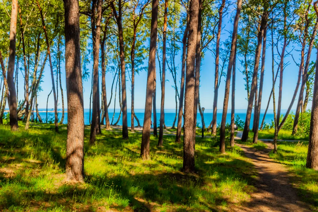 Апартаменты в шаговой доступности от моря